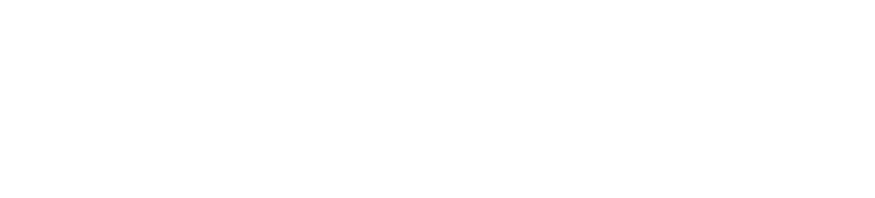 CIP foundation logo RGB neg - Copy
