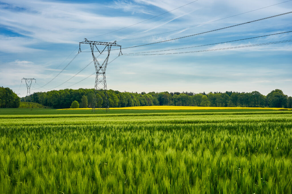 High voltage poles standing in a field under a blue sky. Juicy g